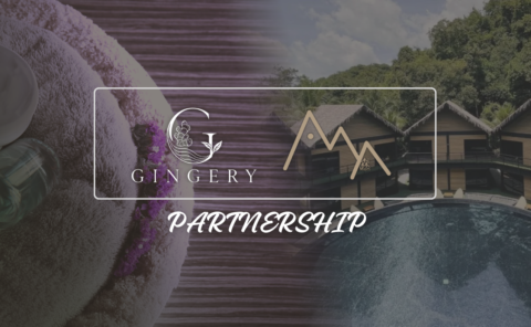 Gingery Strategically Partnering with Aamori Resort